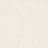 Обои Zambaiti Parati Trussardi VI Винил на флизелине (1,06*10,05) Белый/Серый, Штукатурка арт-46040 — фото 1, Обои для стен