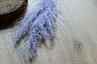 Ламинат Alpine Floor Aura LF100-02 Дуб Салерно 1218х198х8 мм арт-LF100-2 — фото 3, Ламинат