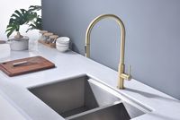 Смеситель для кухни Paulmark Senso Светлое брашированное золото арт-Se215180-SBG — фото 2, Смесители для кухни