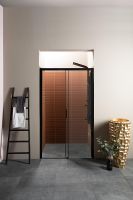 Душевая дверь Aquanet Pleasure AE60-N-150H200U-BT 150 профиль Черный матовый стекло прозрачное арт-273599 — фото 3, Раздвижные душевые двери