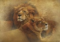 Товар: Фреска Ortograf Животные 10573 Фактура флок FLK Флизелин (3,9*2,7) Оранжевый/Коричневый, Животные арт-10573 (флок FLK) - фото 2 Фреска Ortograf Животные 10573 Фактура флок FLK Флизелин (3,9*2,7) Оранжевый/Коричневый, Животные арт-10573 (флок FLK) — фото 2, Фрески