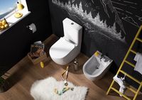 Чаша унитаза-компакта Aquanet Cetus C1 Rimless 00 без бачка, с сиденьем Микролифт арт-203342 — фото 6, Напольные унитазы