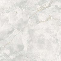 Керамогранит A-Ceramica Elison Polished 166687 60х60 см арт-00-00048924 — фото 8, Керамогранит