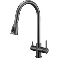 Смеситель для кухни Paulmark Lange Вороненая сталь арт-La214212-GM — фото 1, Смесители для кухни