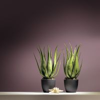 Обои LOYMINA Hygge Флизелин (1*10,05) Фиолетовый/Коричневый, Штукатурка арт-Hg7 022 — фото 2, Обои для стен