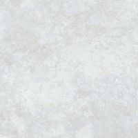 Керамогранит Ceradim Ocean Fairy светло-серый полированный 60х60 см арт-х9999304557 — фото 4, Керамогранит