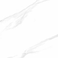 Керамогранит Pardis Ceramic Pazh Chelsea (Watson) 60х60 см арт-166531 — фото 1, Керамогранит