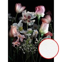 Фреска Ortograf Flower Dreams 31632 Фактура бархат FX Флизелин (2*2,7) Черный/Разноцветный, Цветы арт-31632 (бархат FX) — фото 1, Фрески