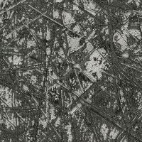 Обои Emiliana Parati Materica 2 Винил на флизелине (1,06*10,05) Черный/Серебряный, Абстракция/Штукатурка арт-73133 — фото 2, Обои для стен