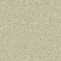 Обои Roberto Borzagi Queen I Винил на флизелине (1,06*10,05) Зеленый, Однотонные арт-90106-4 — фото 1, Обои для стен