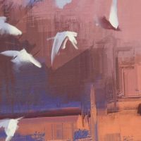 Штора для ванны WasserKRAFT Ammer 180х200 Закат, чайки арт-SC-70103 — фото 6, Шторы для ванной