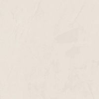 Товар: Керамогранит Dako Ultra Бежевый Рект 60х60 см арт-E-5009/MR/600x600x9 - фото 1 Керамогранит Dako Ultra Бежевый Рект 60х60 см арт-E-5009/MR/600x600x9 — фото 1, Керамогранит