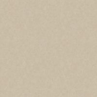 Обои LOYMINA Shade 2 Винил на флизелине (1*10,05) Бежевый, Штукатурка арт-SDR5 002/3 — фото 1, Обои для стен