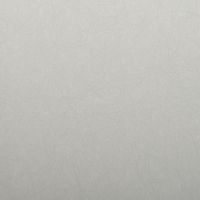 Обои Bernardo Bartalucci Legend Флизелин (1,06*10) Серый, Однотонные арт-5068-68 — фото 1, Обои для стен