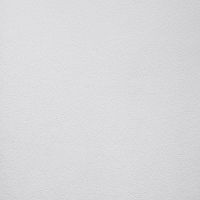 Обои Andrea Rossi Gavi Винил на флизелине (1,06*10) Белый, Однотонные арт-54377-1 — фото 1, Обои для стен