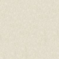 Обои RASCH Varvara Винил на флизелине (1,06*10,05) Бежевый, Штукатурка арт-930627 — фото 1, Обои для стен