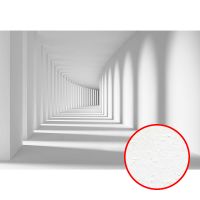 Фреска Ortograf 3D 3256 Фактура бархат FX Флизелин (3,6*2,5) Белый, Архитектура арт-3256 (бархат FX) — фото 1, Фрески
