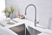 Смеситель для кухни Paulmark Galant Брашированная сталь арт-Ga213077-BS — фото 14, Смесители для кухни