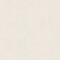 Обои AS Creation Accent Винил на флизелине (1,06*10,05) Белый, Штукатурка арт-36890-2 — фото 1, Обои для стен