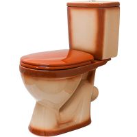 Унитаз компакт Rosa Лира Коричневый декор с бачком и сиденьем арт-4620008192086 — фото 1, Напольные унитазы