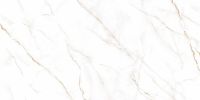 Керамогранит Alma Ceramica Neo Calacatta 60х120 см арт-GFU60120NCL04R — фото 1, Керамогранит