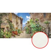 Фреска Ortograf Городской пейзаж 5637 Фактура флок FLK Флизелин (5,4*2,7) Разноцветный, Город/Пейзаж/Цветы арт-5637 (флок FLK) — фото 1, Фрески