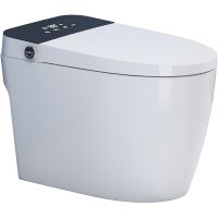 Унитаз биде SantiLine приставной с сиденьем Микролифт арт-SL-5034 — фото 1, Умные унитазы