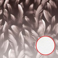 Фреска Ortograf Levity 33364 Фактура бархат FX Флизелин (2,7*2,7) Коричневый, Перья арт-33364 (бархат FX) — фото 1, Фрески