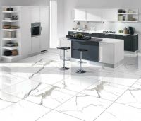 Керамогранит Primavera Salvatore Carving 60х60 см арт-CR117 — фото 6, Керамогранит