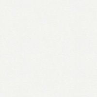 Обои AS Creation Antivandal Винил на флизелине (1,06*25) Белый, Штукатурка арт-2488-17 — фото 1, Обои для стен