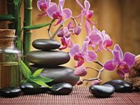 Фреска Ortograf Цветы 30623 Фактура бархат FX Флизелин (3,6*2,7) Разноцветный, Цветы арт-30623 (бархат FX) — фото 2, Фрески