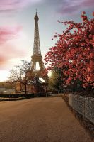 Фреска Ortograf Париж 4780 Фактура бархат FX Флизелин (1,8*2,7) Бежевый/Голубой/Розовый, Город/Цветы арт-4780 (бархат FX) — фото 2, Фрески