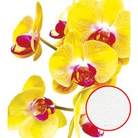 Фреска Ortograf Цветы 10558 Фактура бархат FX Флизелин (2,4*2,7) Желтый/Красный, Цветы арт-10558 (бархат FX) — фото 1, Фрески