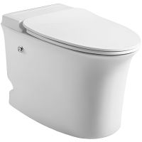 Унитаз Ceruttispa Nautilus Pulse CT приставной с импульсным смывом с сиденьем Микролифт арт-10200 — фото 1, Приставные унитазы