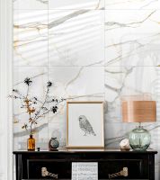 Товар: Керамогранит GlobalTile Montecatini GT Белый полированный 60х60 см арт-GT60607503PR - фото 2 Керамогранит GlobalTile Montecatini GT Белый полированный 60х60 см арт-GT60607503PR — фото 2, Керамогранит