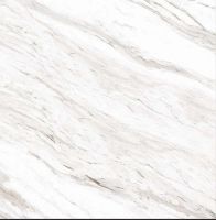 Керамогранит A-Ceramica Rafaelo Polished 166736 60х60 см арт-00-00048673 — фото 8, Керамогранит