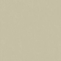 Обои Bernardo Bartalucci Ragazza Флизелин (1,06*10,05) Бежевый, Однотонные арт-5042-4 — фото 1, Обои для стен