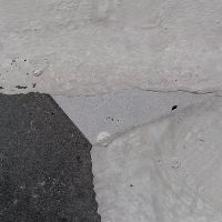 Керамогранит Simpolo Arti Dove 19,8х19,8 см арт-MPL-061782 — фото 15, Керамогранит