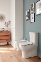 Сиденье для унитаза Jacob Delafon Struktura Белое с микролифтом арт-E20606-00 — фото 5, Сиденья для унитаза