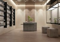 Керамогранит Cersanit Coliseum коричневый 16294 29,7х59,8 см арт-х9999129714 — фото 2, Керамогранит