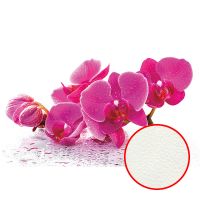 Фреска Ortograf Цветы 5442 Фактура флок FLK Флизелин (3*2) Белый/Розовый, Цветы арт-5442 (флок FLK) — фото 1, Фрески