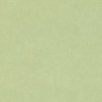 Обои RASCH Garden Винил на флизелине (0,53*10,05) Зеленый, Однотонные/Рогожка арт-330052 — фото 1, товары