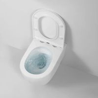 Унитаз Berges Tornas Rimless подвесной с сиденьем Микролифт арт-082137 — фото 6, Подвесные унитазы