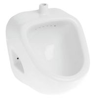 Писсуар Sanita Орион Белый арт-PS/Orion/Mech/WHT.G/S1 — фото 1, Писсуары