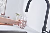 Товар: Смеситель для кухни Paulmark Galant Антрацит арт-Ga213077-AN - фото 9 Смеситель для кухни Paulmark Galant Антрацит арт-Ga213077-AN — фото 9, Смесители для кухни