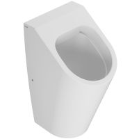 Писсуар Globo Forty3 подвесной Белый арт-FO031BI — фото 1, Писсуары