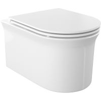 Товар: Унитаз Iddis Sena подвесной с сиденьем Микролифт арт-SENRDSEi25 - фото 1 Унитаз Iddis Sena подвесной с сиденьем Микролифт арт-SENRDSEi25 — фото 1, Подвесные унитазы