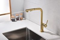 Смеситель для кухни Paulmark Neo Брашированное золото арт-Ne214419-BG — фото 3, Смесители для кухни