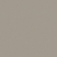 Обои Bernardo Bartalucci Medici Винил на флизелине (1,06*10,05) Серый, Однотонные арт-84204-10 — фото 1, Обои для стен