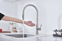 Смеситель для кухни Paulmark Senso Брашированная сталь арт-Se215180-BS — фото 11, Смесители для кухни